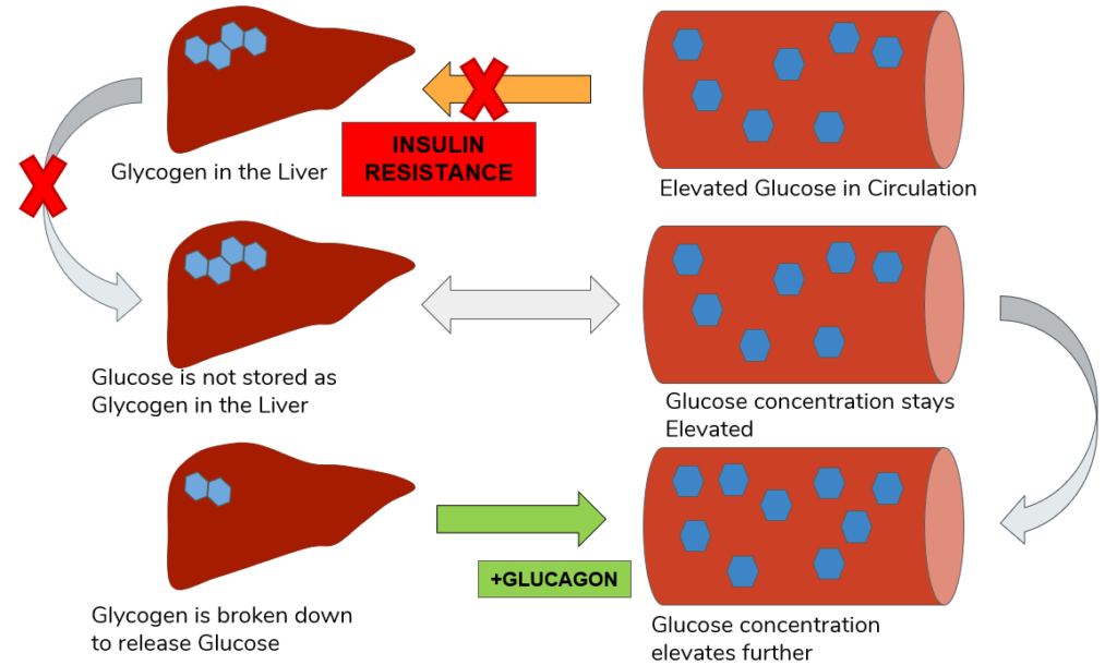 Fatty Liver Your Health, Reprogrammed